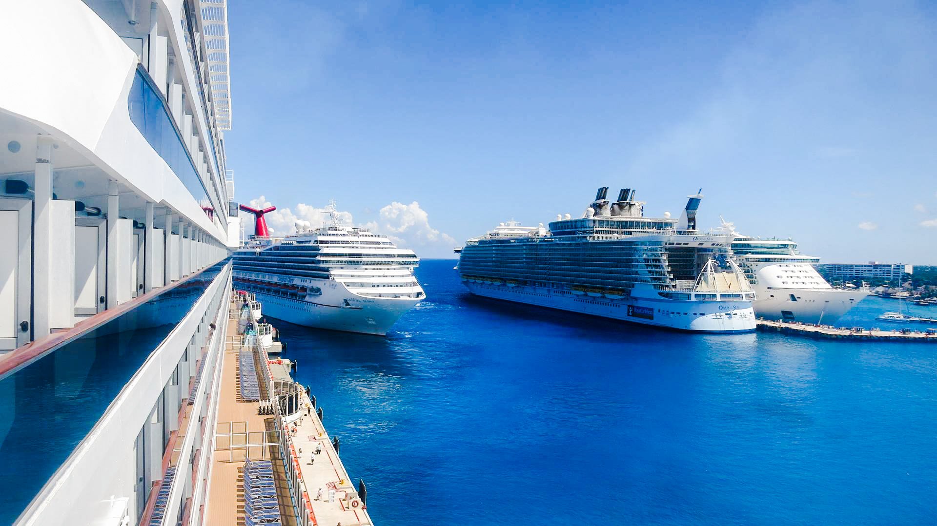 Cruise Hive