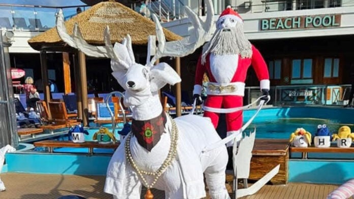 Christmas Towel Animals on Carnival Cruise
