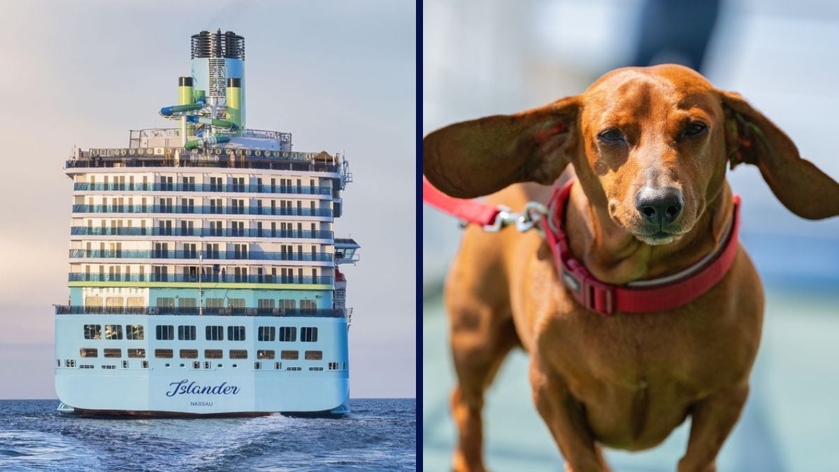 Margaritaville at Sea Dog Cruise