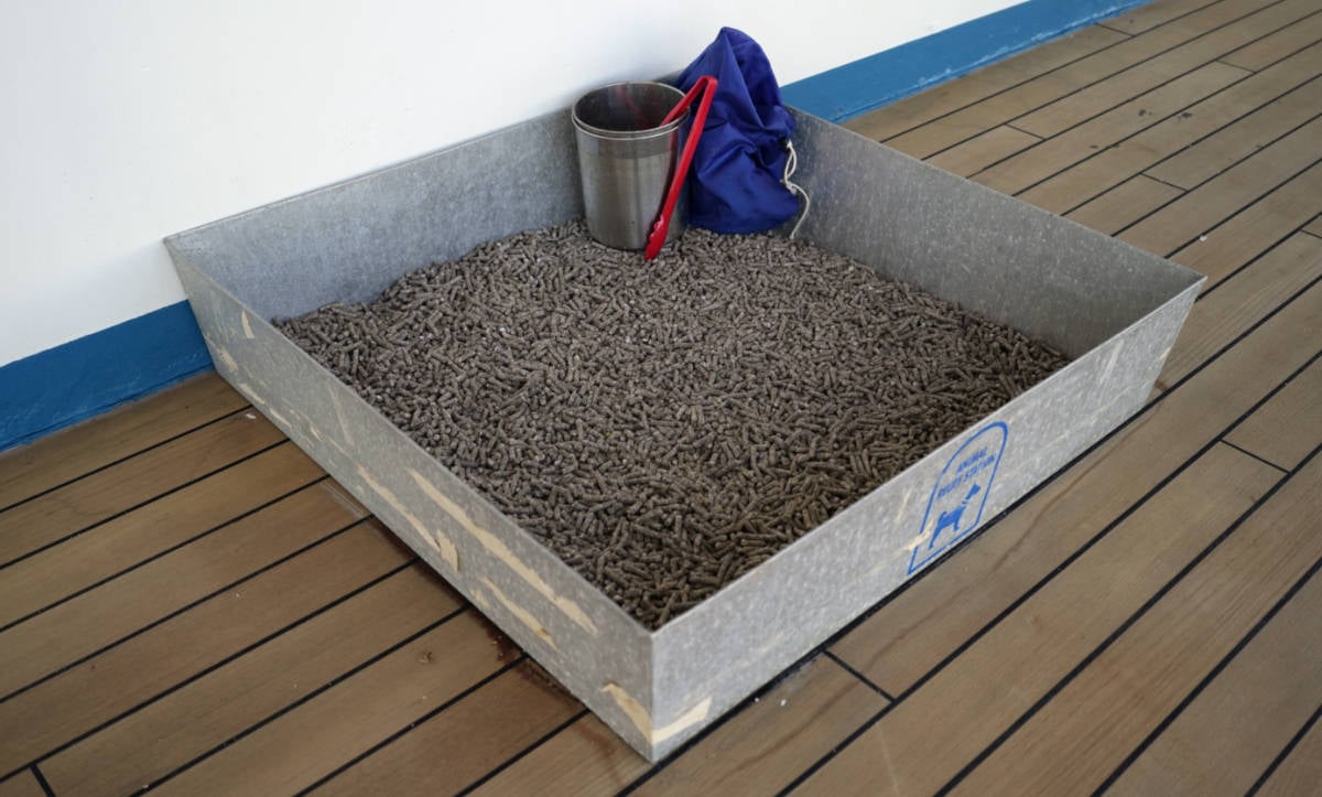 Dog Cruise Relief Station